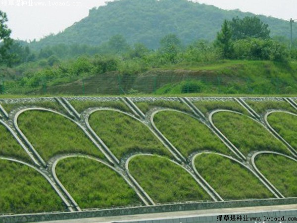 鐵路路基護坡綠化工程應用