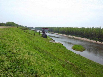 濕地護坡草坪種植什么好?